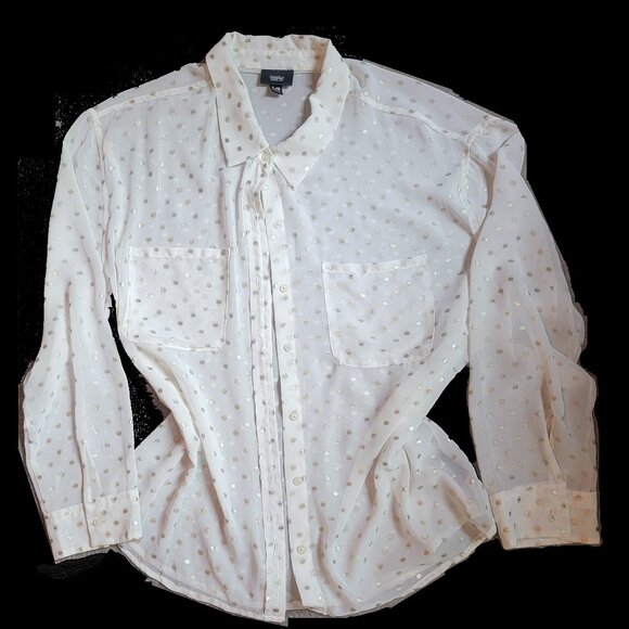 Sheer Button Front Blouse, Beach Cover, Evening Wear - Picture 1 of 6